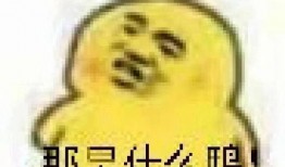 今日吃瓜爆料 吃瓜的表情包,表情包带你领略吃瓜乐趣